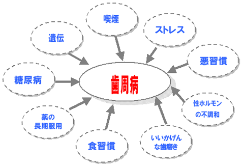 歯のお役立ち情報